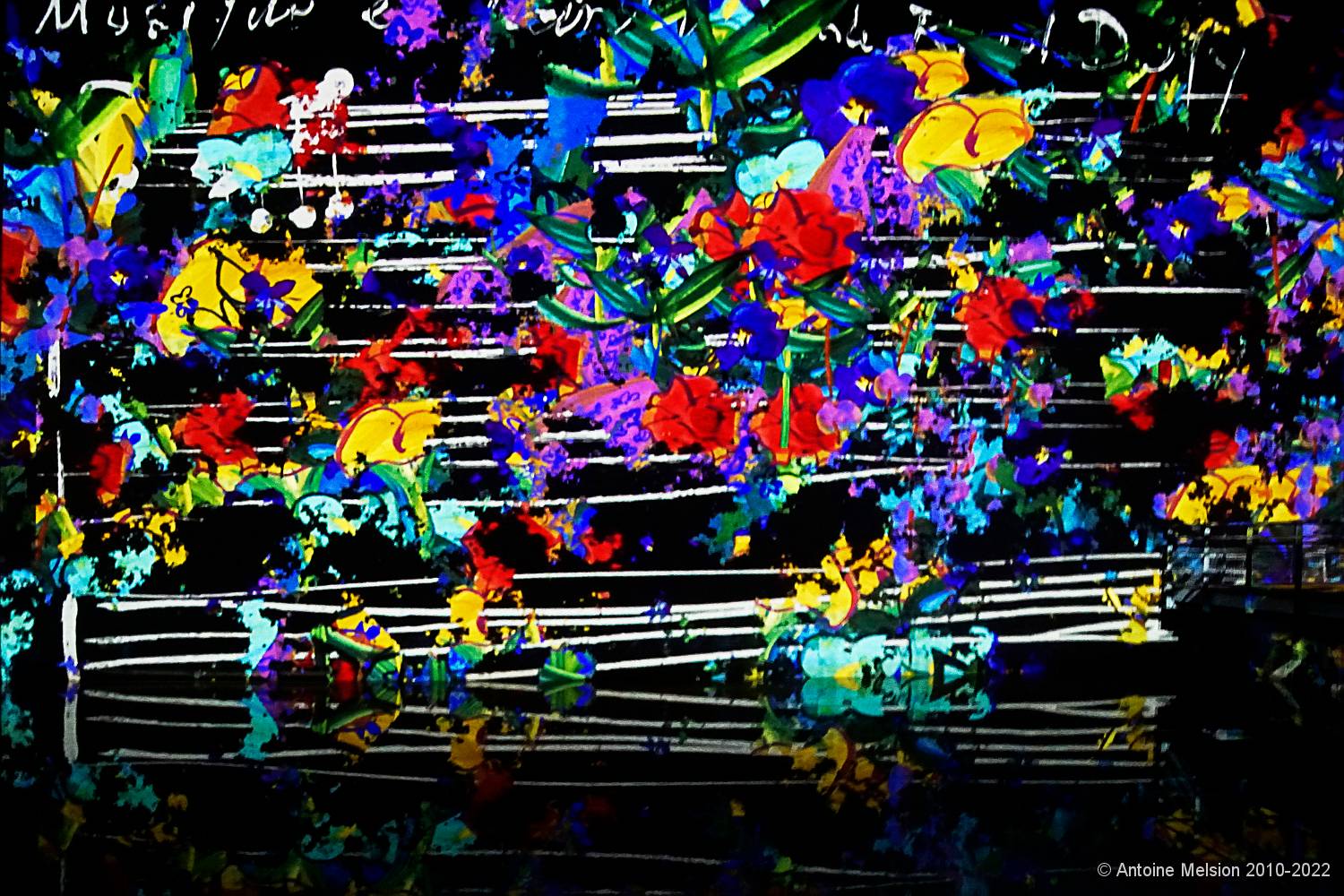 Bassins des Lumières 04 