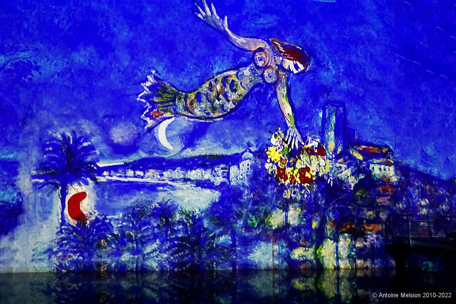 Bassins des Lumières 14 