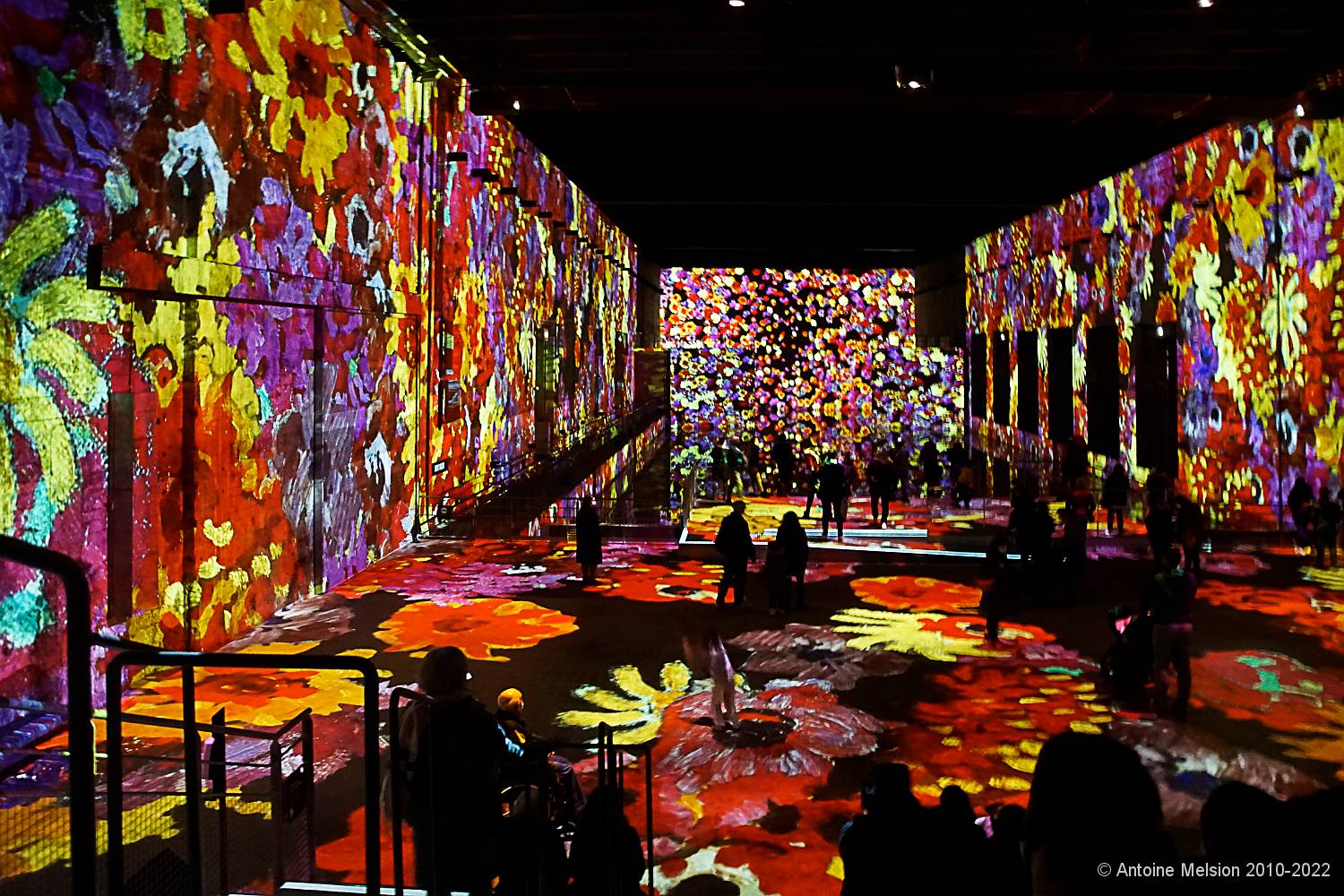 Bassins des Lumières 43 