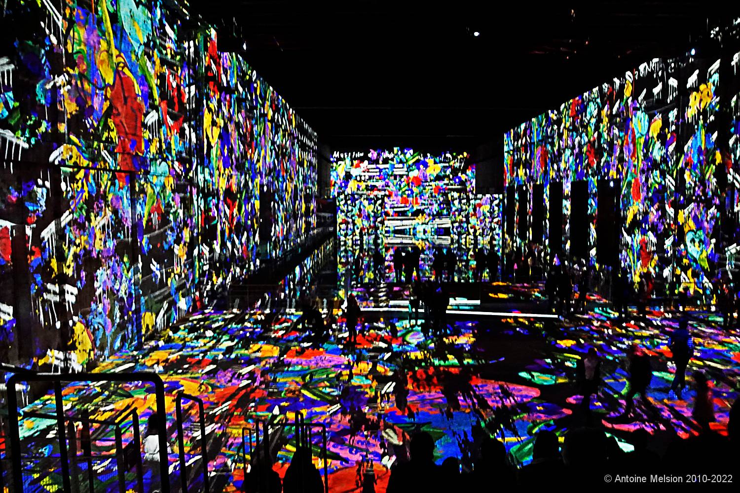 Bassins des Lumières 53 