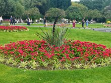 Stephen's green 08