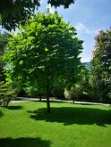 Les jardins 11