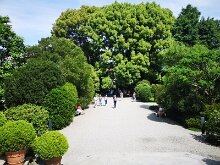 Les jardins 12