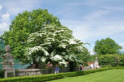 Les jardins 14