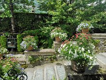 Les jardins 19
