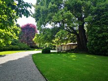 Isola Madre 12