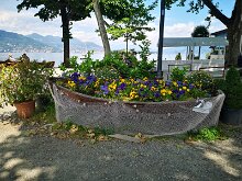 Isola Pescatori 17