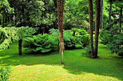 Villa Taranto 08