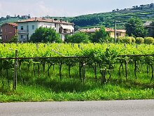 San Pietro in Cariano 07