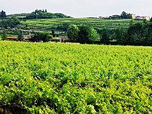 San Pietro in Cariano 12