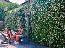 Sirmione 19