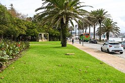Jardin du Passeio Alegre et estuaire 01