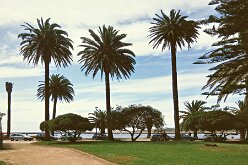 Jardin du Passeio Alegre et estuaire 06