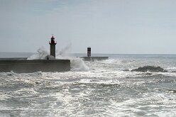 Jardin du Passeio Alegre et estuaire 08
