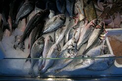 Marché do Bolhão 07