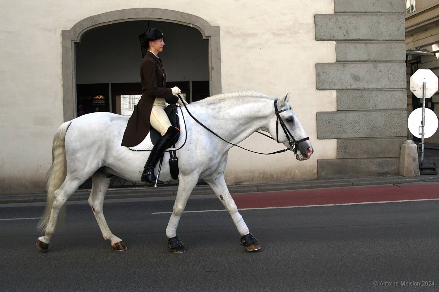 Ecole espagnole d'équitation 01 
