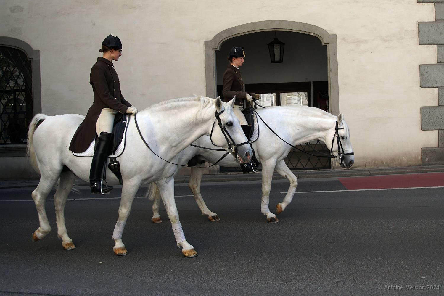 Ecole espagnole d'équitation 02 