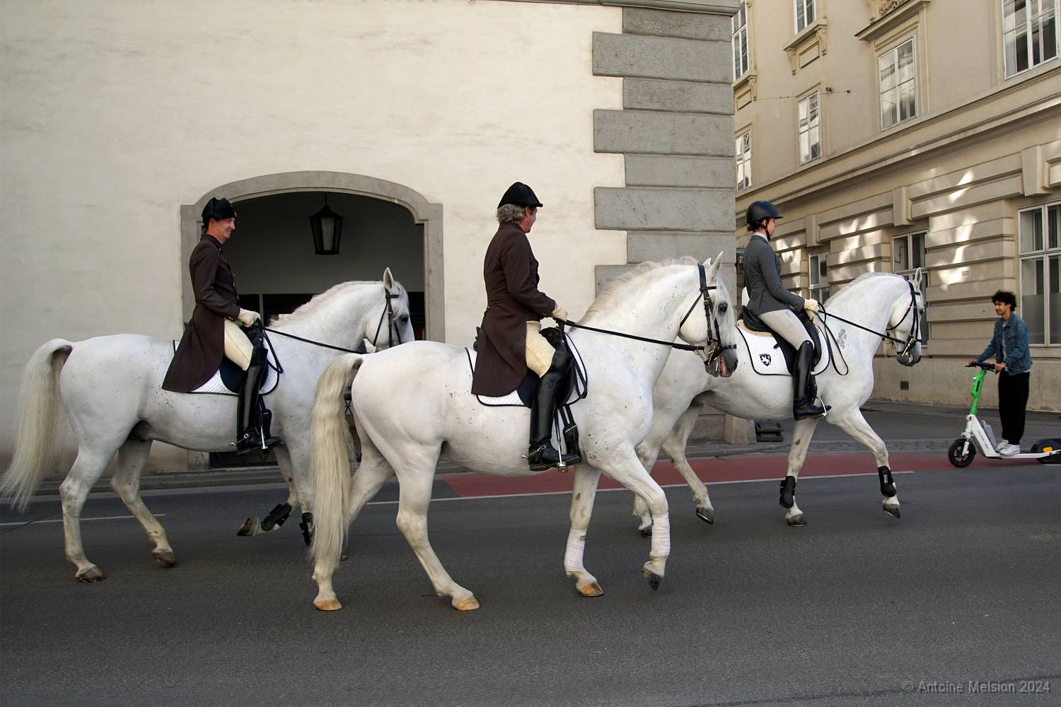 Ecole espagnole d'équitation 03 