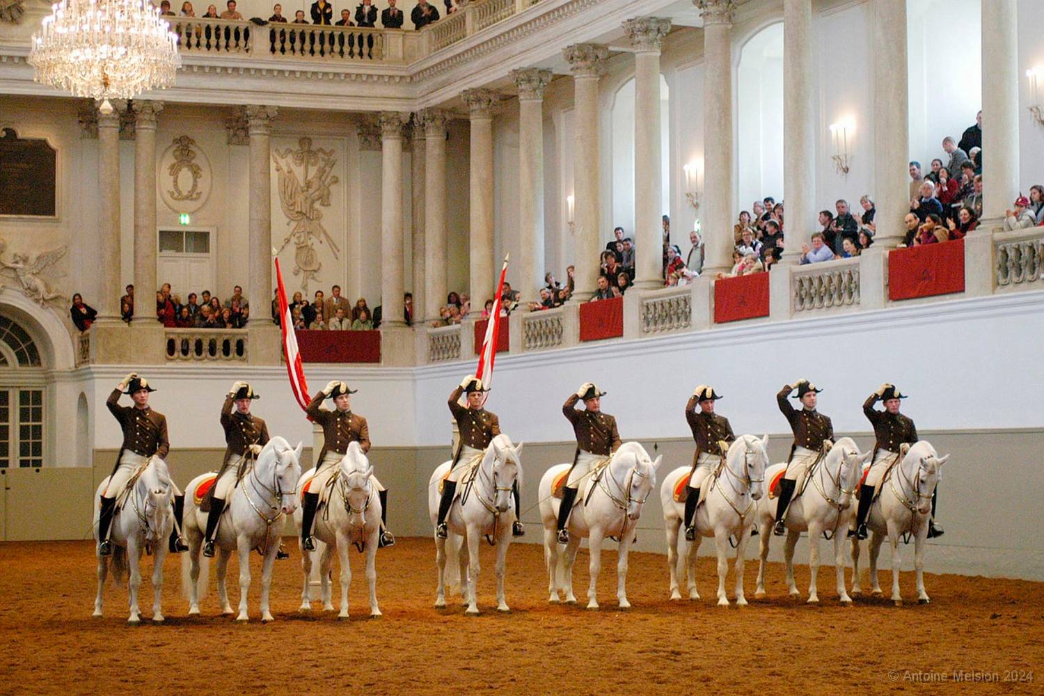 Ecole espagnole d'équitation 05 