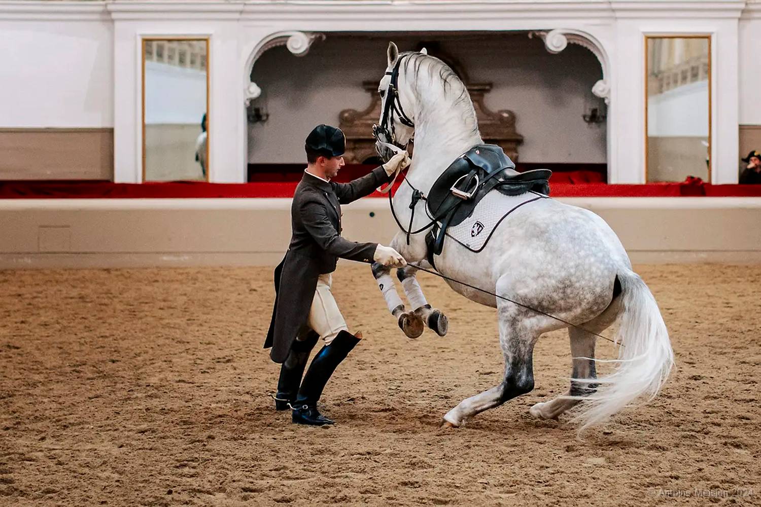 Ecole espagnole d'équitation 06 