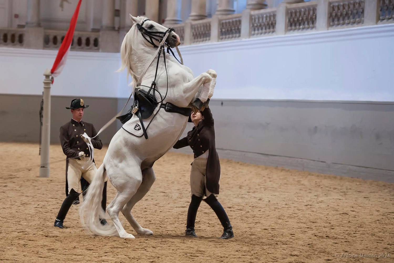 Ecole espagnole d'équitation 07 