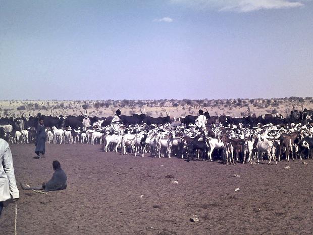 1970-1972 les années Niger