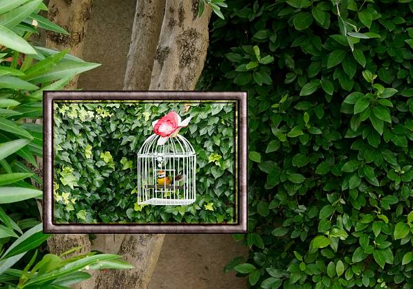Poème en photos  Pour faire le portrait d'un oiseau