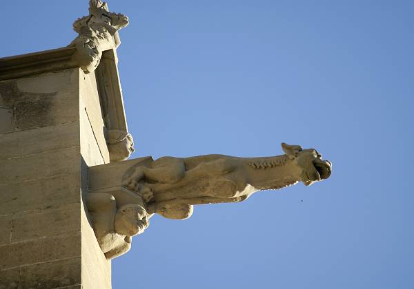 Les gargouilles