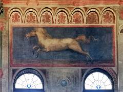 Palazzo della ragione 14