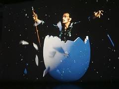 Dali 05