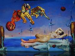 Dali 20