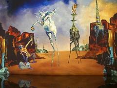 Dali 23