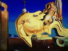 Dali 31
