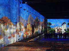 Dali 39