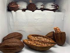 Musée du chocolat 15