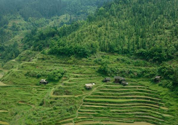 Village Jiali des Miao