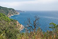 La côte 04