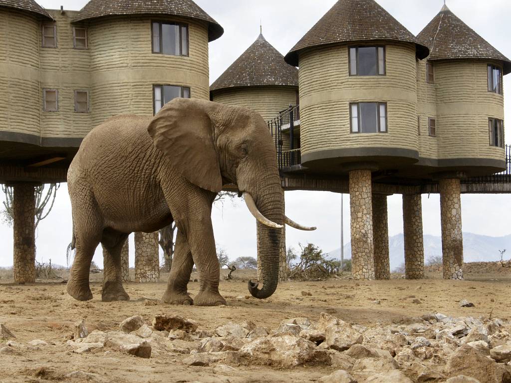 La réserve de Tsavo