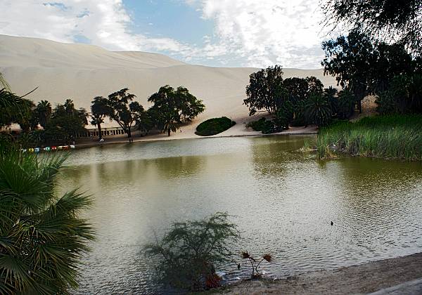 14 Oasis Huacachina