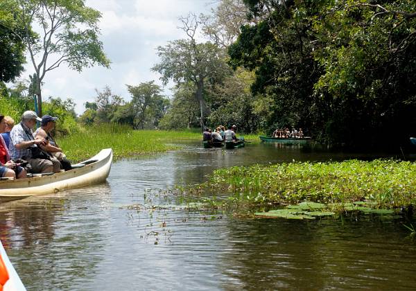 La campagne à Hiriwadunna