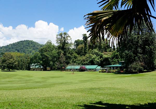 Jardin botanique