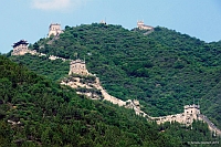 Chine
